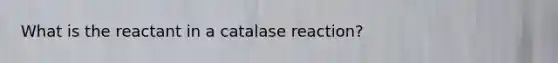 What is the reactant in a catalase reaction?