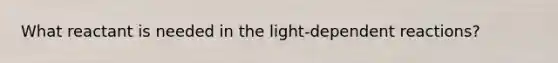 What reactant is needed in the light-dependent reactions?