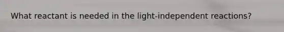 What reactant is needed in the light-independent reactions?