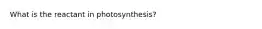 What is the reactant in photosynthesis?