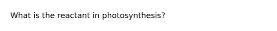 What is the reactant in photosynthesis?