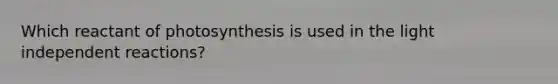 Which reactant of photosynthesis is used in the light independent reactions?