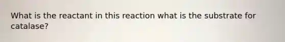 What is the reactant in this reaction what is the substrate for catalase?