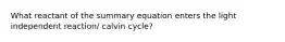 What reactant of the summary equation enters the light independent reaction/ calvin cycle?