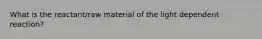 What is the reactant/raw material of the light dependent reaction?