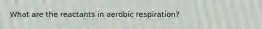 What are the reactants in aerobic respiration?