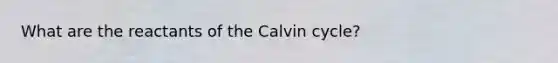 What are the reactants of the Calvin cycle?