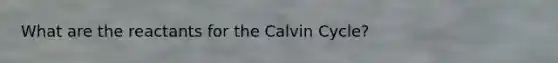 What are the reactants for the Calvin Cycle?