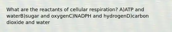 What are the reactants of <a href='https://www.questionai.com/knowledge/k1IqNYBAJw-cellular-respiration' class='anchor-knowledge'>cellular respiration</a>? A)ATP and waterB)sugar and oxygenC)NADPH and hydrogenD)carbon dioxide and water