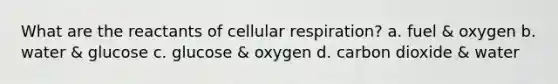 What are the reactants of <a href='https://www.questionai.com/knowledge/k1IqNYBAJw-cellular-respiration' class='anchor-knowledge'>cellular respiration</a>? a. fuel & oxygen b. water & glucose c. glucose & oxygen d. carbon dioxide & water