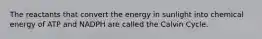 The reactants that convert the energy in sunlight into chemical energy of ATP and NADPH are called the Calvin Cycle.