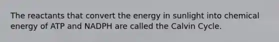 The reactants that convert the energy in sunlight into chemical energy of ATP and NADPH are called the Calvin Cycle.