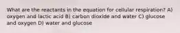 What are the reactants in the equation for cellular respiration? A) oxygen and lactic acid B) carbon dioxide and water C) glucose and oxygen D) water and glucose