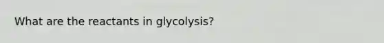 What are the reactants in glycolysis?