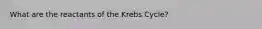 What are the reactants of the Krebs Cycle?