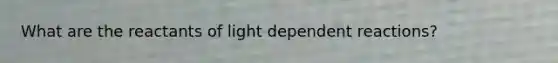 What are the reactants of light dependent reactions?