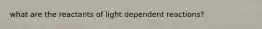 what are the reactants of light dependent reactions?