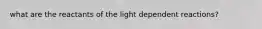 what are the reactants of the light dependent reactions?