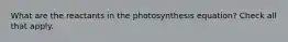 What are the reactants in the photosynthesis equation? Check all that apply.