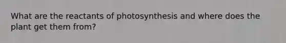 What are the reactants of photosynthesis and where does the plant get them from?