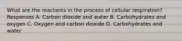 What are the reactants in the process of cellular respiration? Responses A. Carbon dioxide and water B. Carbohydrates and oxygen C. Oxygen and carbon dioxide D. Carbohydrates and water