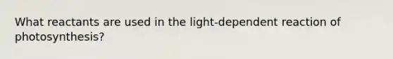 What reactants are used in the light-dependent reaction of photosynthesis?