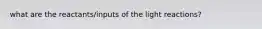 what are the reactants/inputs of the light reactions?