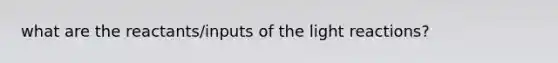 what are the reactants/inputs of the light reactions?