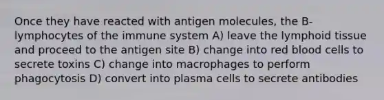 Once they have reacted with antigen molecules, the B-lymphocytes of the immune system A) leave the lymphoid tissue and proceed to the antigen site B) change into red blood cells to secrete toxins C) change into macrophages to perform phagocytosis D) convert into plasma cells to secrete antibodies