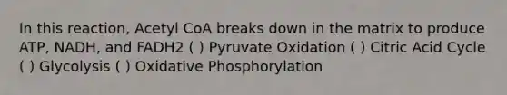 In this reaction, Acetyl CoA breaks down in the matrix to produce ATP, NADH, and FADH2 ( ) Pyruvate Oxidation ( ) Citric Acid Cycle ( ) Glycolysis ( ) Oxidative Phosphorylation