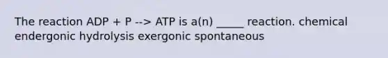 The reaction ADP + P --> ATP is a(n) _____ reaction. chemical endergonic hydrolysis exergonic spontaneous