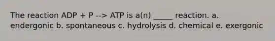 The reaction ADP + P --> ATP is a(n) _____ reaction. a. endergonic b. spontaneous c. hydrolysis d. chemical e. exergonic