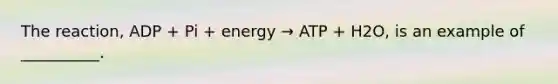 The reaction, ADP + Pi + energy → ATP + H2O, is an example of __________.