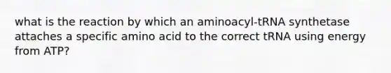 what is the reaction by which an aminoacyl-tRNA synthetase attaches a specific amino acid to the correct tRNA using energy from ATP?