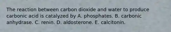 The reaction between carbon dioxide and water to produce carbonic acid is catalyzed by A. phosphates. B. carbonic anhydrase. C. renin. D. aldosterone. E. calcitonin.