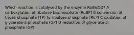 Which reaction is catalysed by the enzyme RuBisCO? A carboxylation of ribulose bisphosphate (RuBP) B conversion of triose phosphate (TP) to ribulose phosphate (RuP) C oxidation of glycerate-3-phosphate (GP) D reduction of glycerate-3-phosphate (GP)