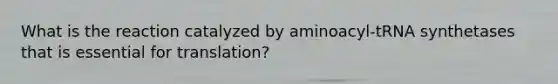 What is the reaction catalyzed by aminoacyl-tRNA synthetases that is essential for translation?