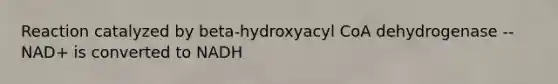 Reaction catalyzed by beta-hydroxyacyl CoA dehydrogenase -- NAD+ is converted to NADH