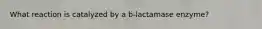 What reaction is catalyzed by a b-lactamase enzyme?