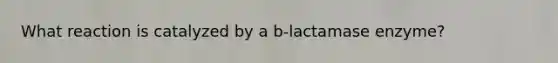 What reaction is catalyzed by a b-lactamase enzyme?