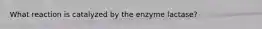 What reaction is catalyzed by the enzyme lactase?