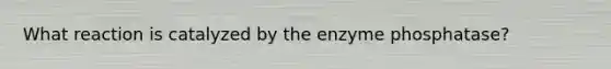 What reaction is catalyzed by the enzyme phosphatase?