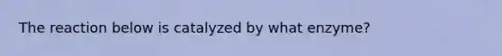 The reaction below is catalyzed by what enzyme?