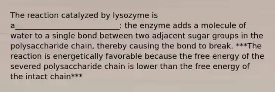 The reaction catalyzed by lysozyme is a___________________________: the enzyme adds a molecule of water to a single bond between two adjacent sugar groups in the polysaccharide chain, thereby causing the bond to break. ***The reaction is energetically favorable because the free energy of the severed polysaccharide chain is lower than the free energy of the intact chain***