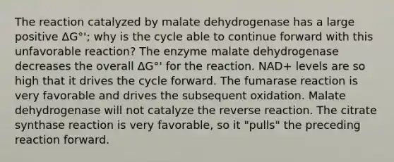 The reaction catalyzed by malate dehydrogenase has a large positive ΔG°'; why is the cycle able to continue forward with this unfavorable reaction? The enzyme malate dehydrogenase decreases the overall ΔG°' for the reaction. NAD+ levels are so high that it drives the cycle forward. The fumarase reaction is very favorable and drives the subsequent oxidation. Malate dehydrogenase will not catalyze the reverse reaction. The citrate synthase reaction is very favorable, so it "pulls" the preceding reaction forward.