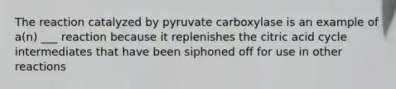 The reaction catalyzed by pyruvate carboxylase is an example of a(n) ___ reaction because it replenishes the citric acid cycle intermediates that have been siphoned off for use in other reactions