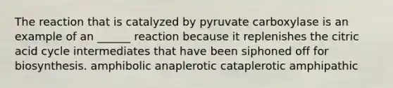 The reaction that is catalyzed by pyruvate carboxylase is an example of an ______ reaction because it replenishes the citric acid cycle intermediates that have been siphoned off for biosynthesis. amphibolic anaplerotic cataplerotic amphipathic