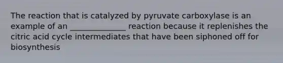 The reaction that is catalyzed by pyruvate carboxylase is an example of an ______________ reaction because it replenishes the citric acid cycle intermediates that have been siphoned off for biosynthesis