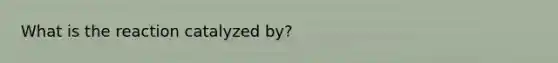 What is the reaction catalyzed by?