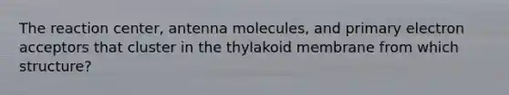 The reaction center, antenna molecules, and primary electron acceptors that cluster in the thylakoid membrane from which structure?